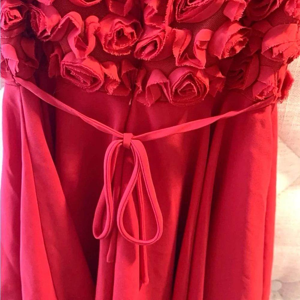 Helena Girls 3D Red Rosettes A-Line Dress